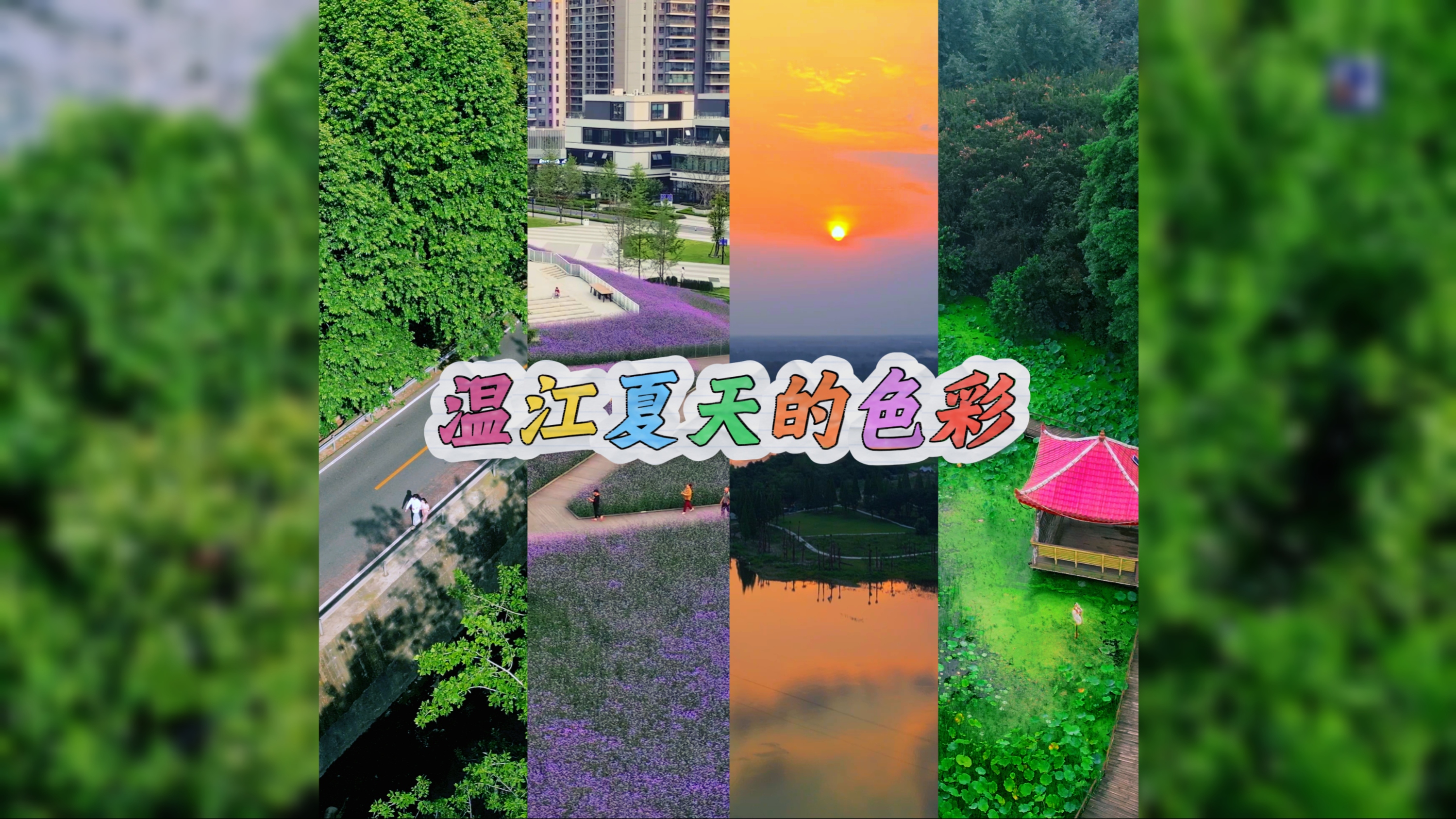温江夏天的色彩
