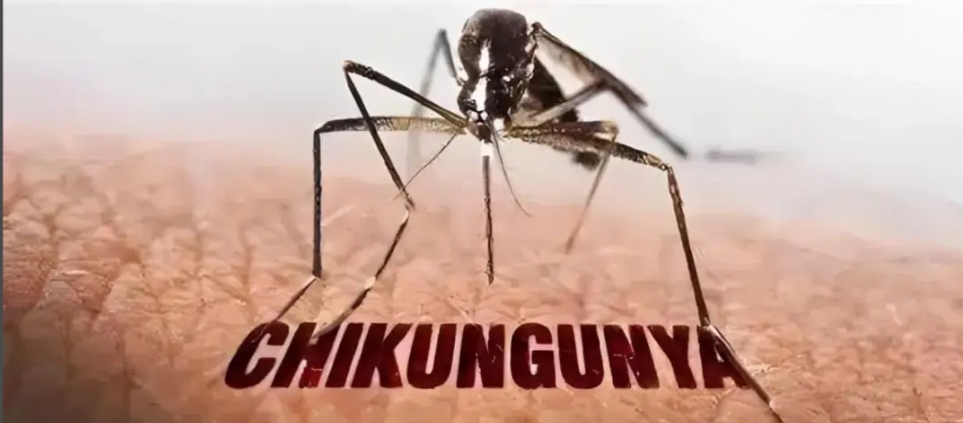 微信截图_20250724162315.png