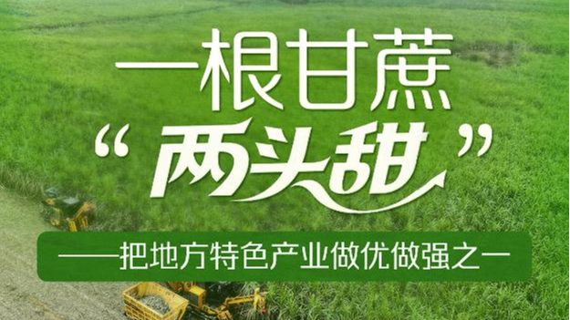 习近平总书记关切事｜一根甘蔗“两头甜”——把地方特色产业做优做强之一