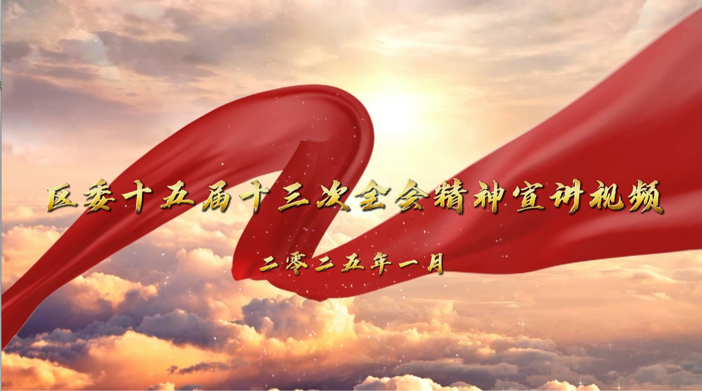 区委十五届十三次全会精神