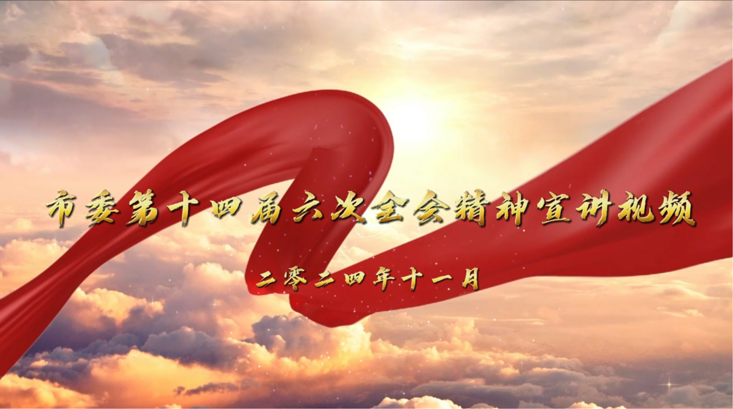 市委十四届六次全会精神