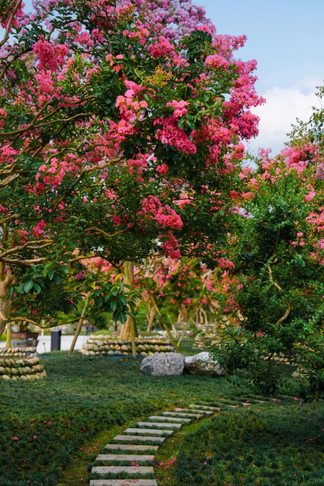 🤩开了！浪漫一“夏”→