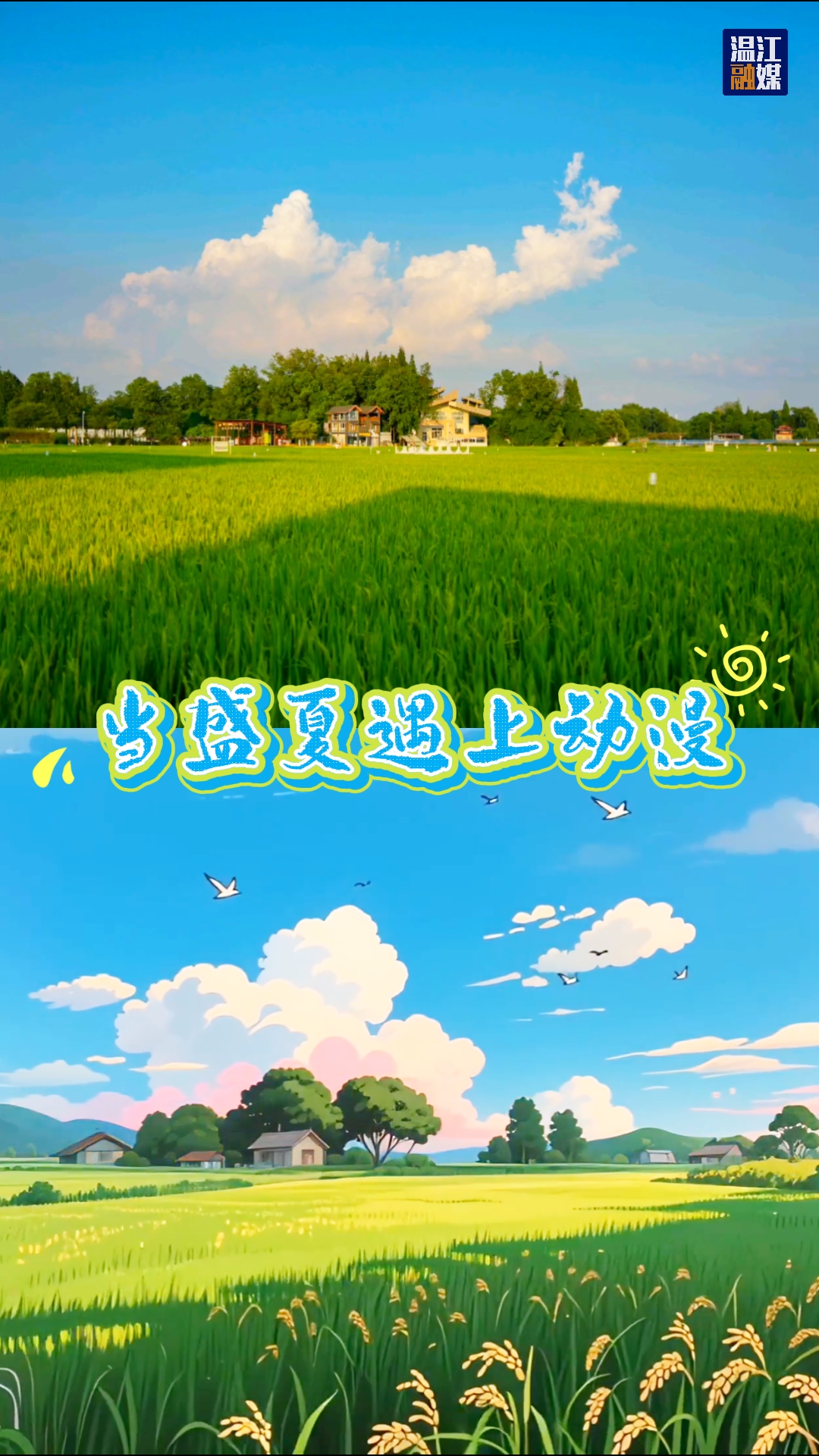 当盛夏遇上动漫~#动漫里的温江#这里是温江#AI