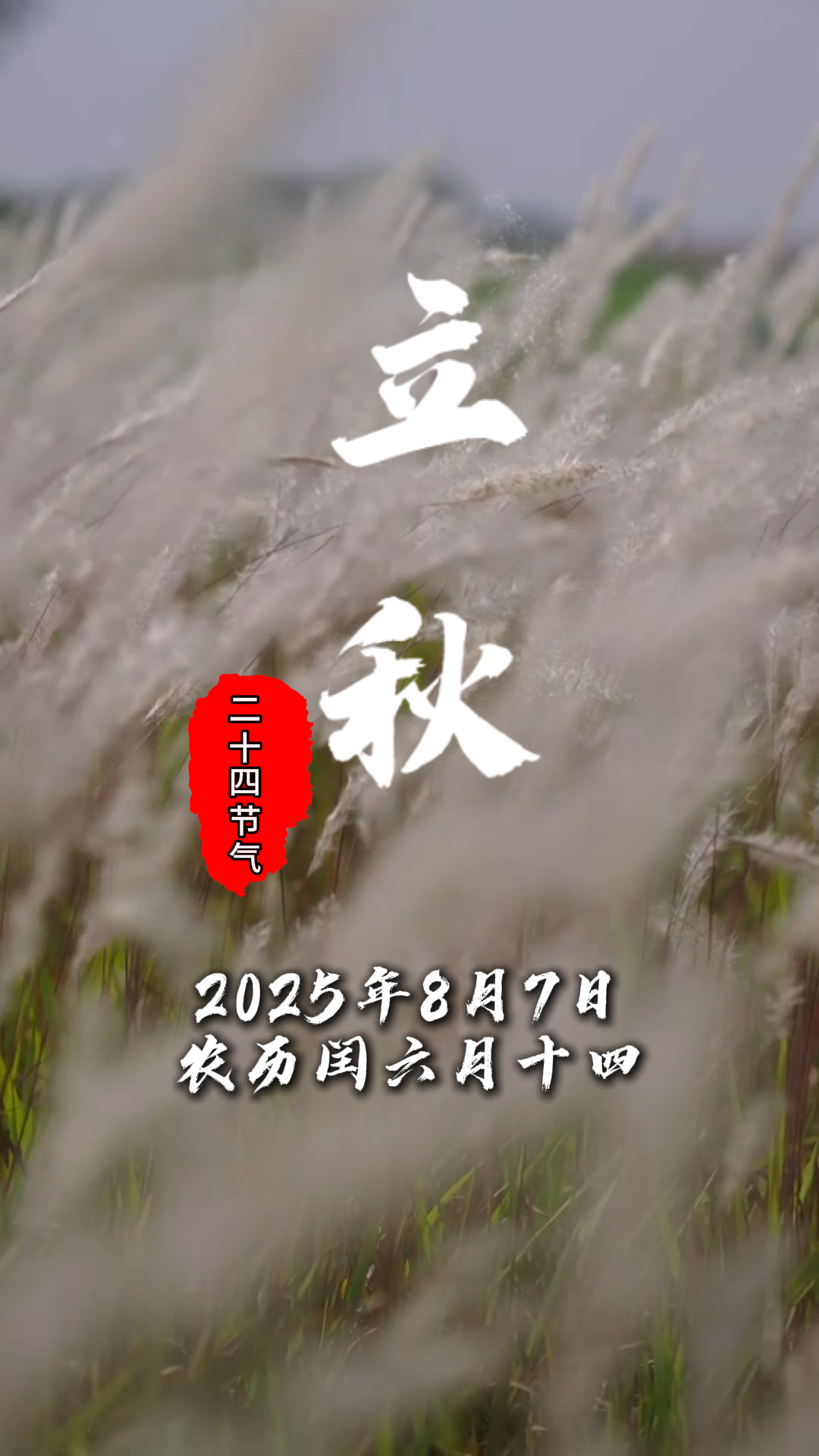 今日大暑#二十四节气#温江四季#这里是温江