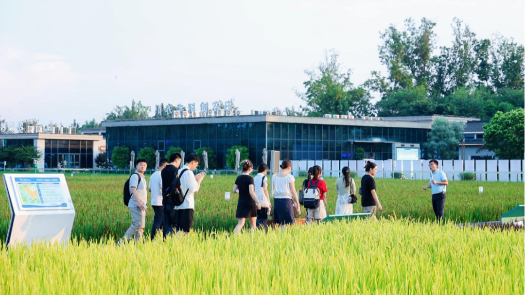 温江这场圆桌会上  “咱村里的年轻人”绽放青春力量