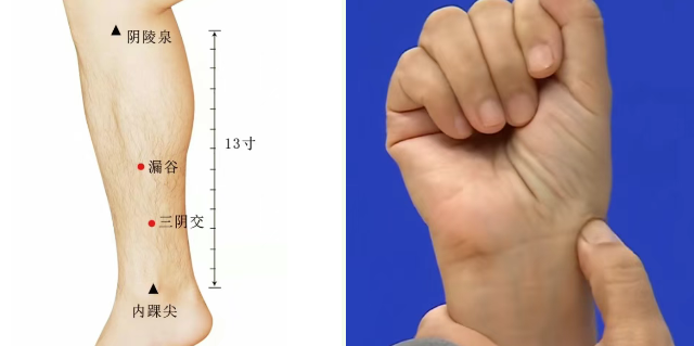 70956b81-7c10-4e96-8893-8de0a529220e.png