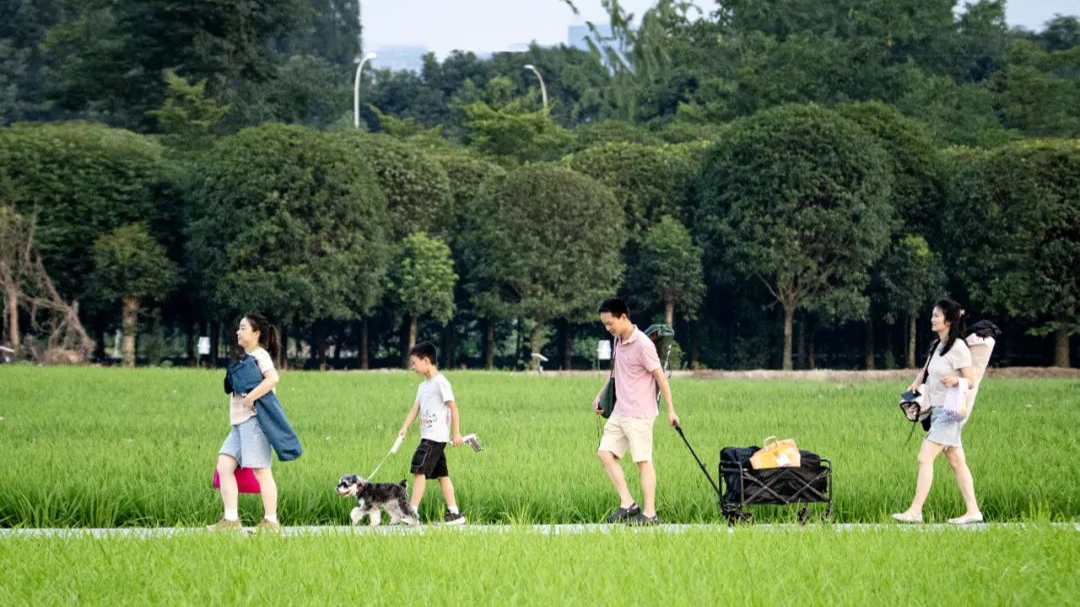 看世运，游温江！邂逅田园诗意与宁静