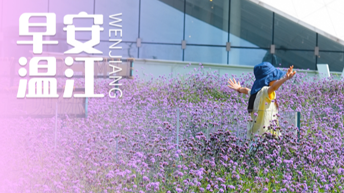 早安温江 | 成都市养老服务消费补贴券领取使用操作流程→