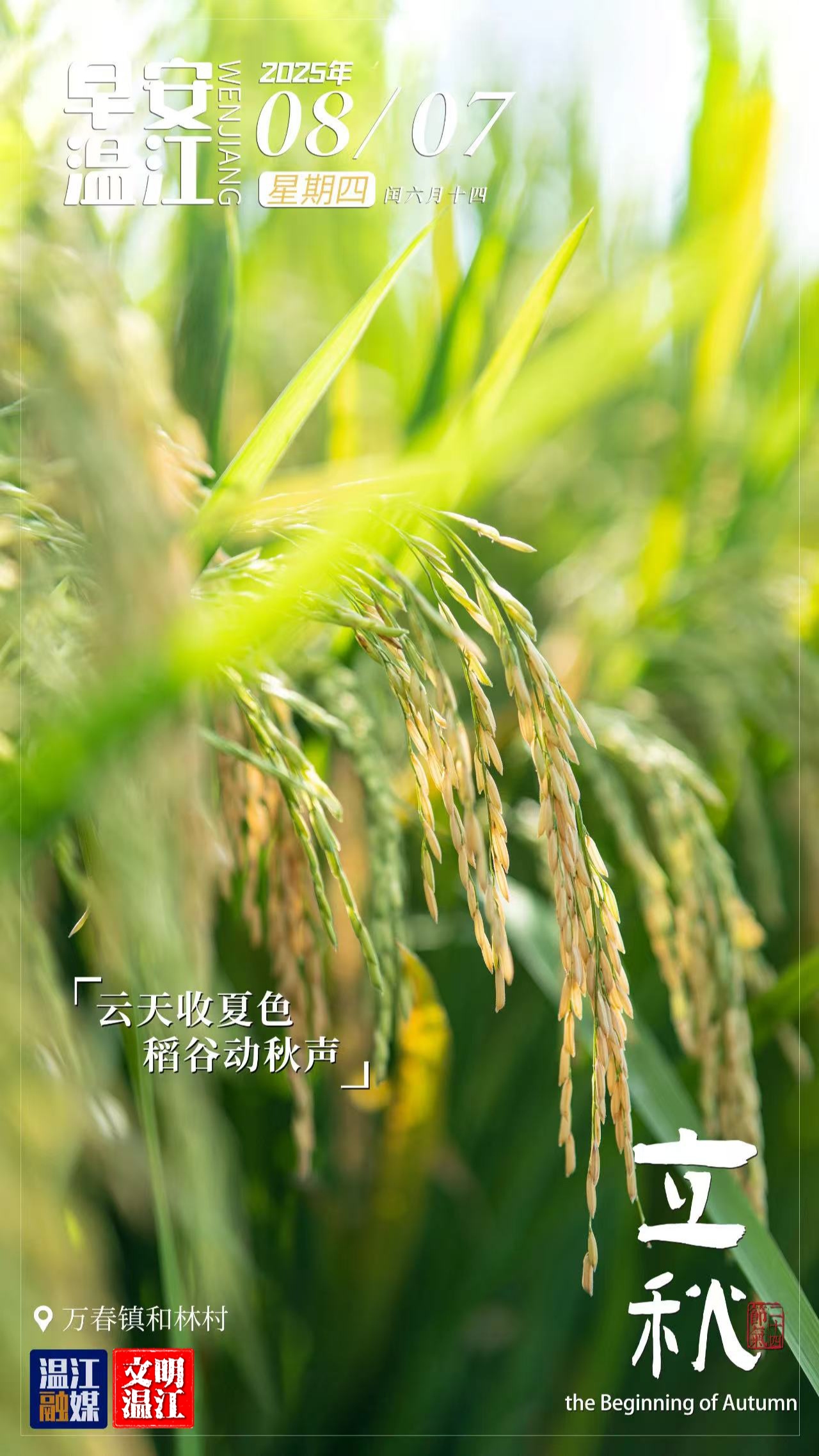 早安温江 | 立秋