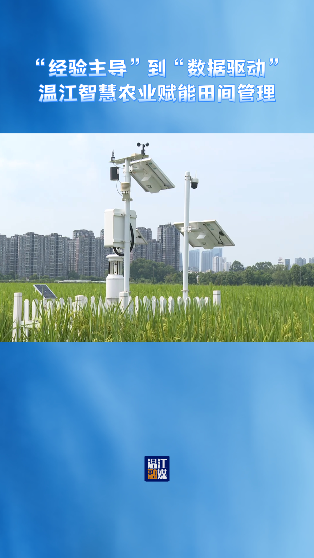 从“经验主导”到“数据驱动”～温江智慧农业赋能田间管理#乡村振兴#现代都市农业#这里是温江