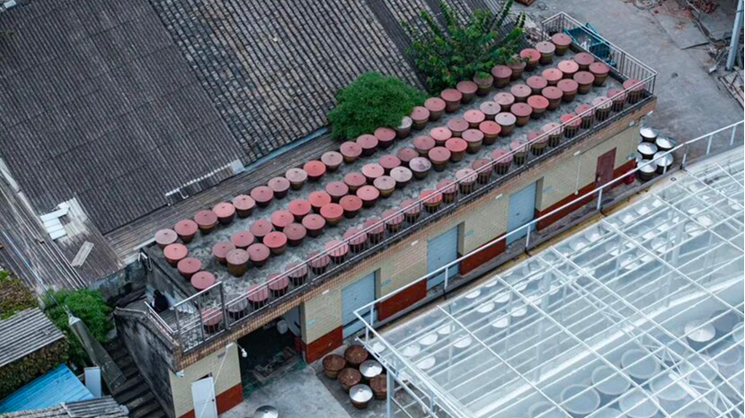 油油饭管够！温江这个百年非遗要扩产了→