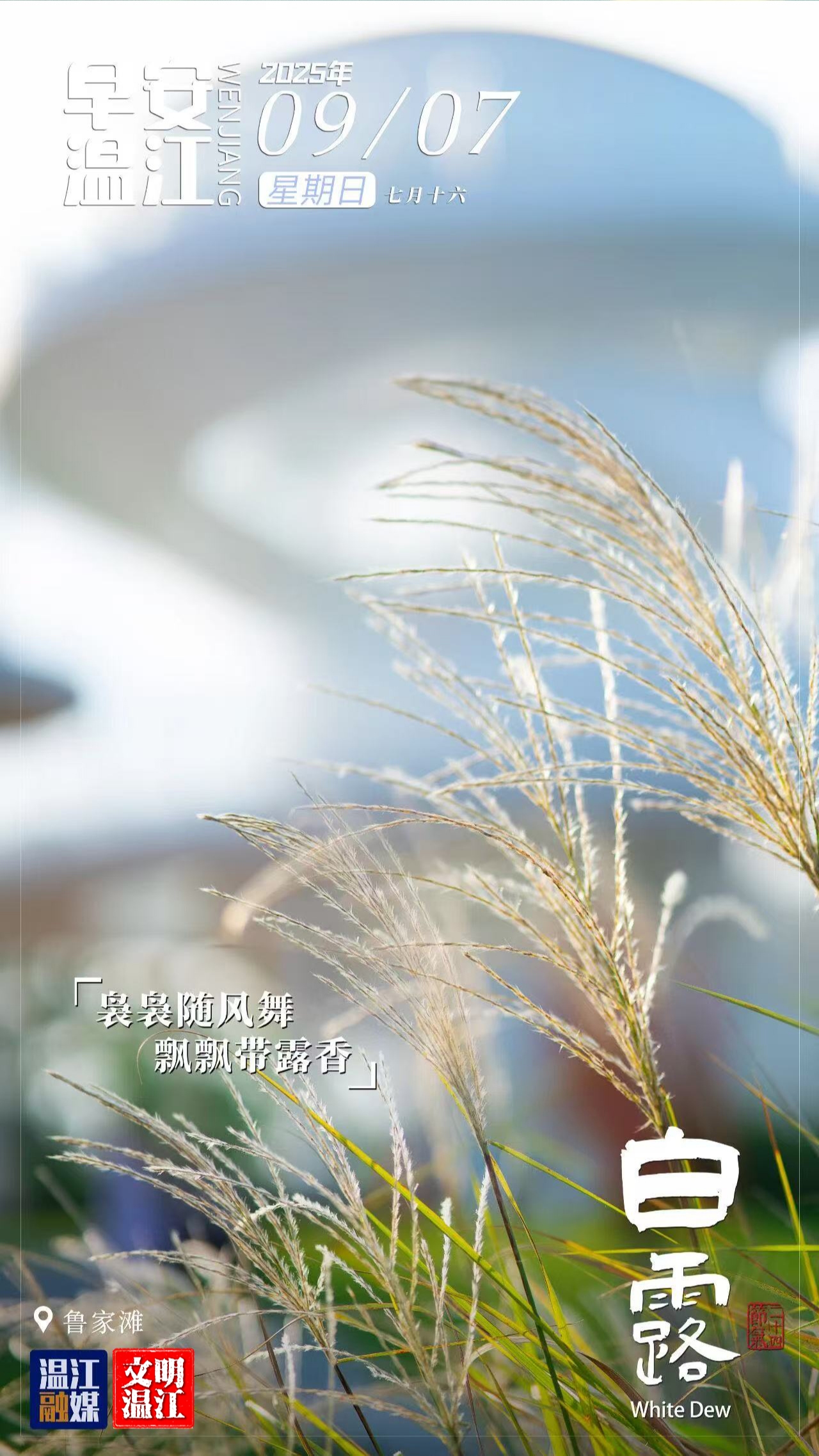 早安温江 | 白露