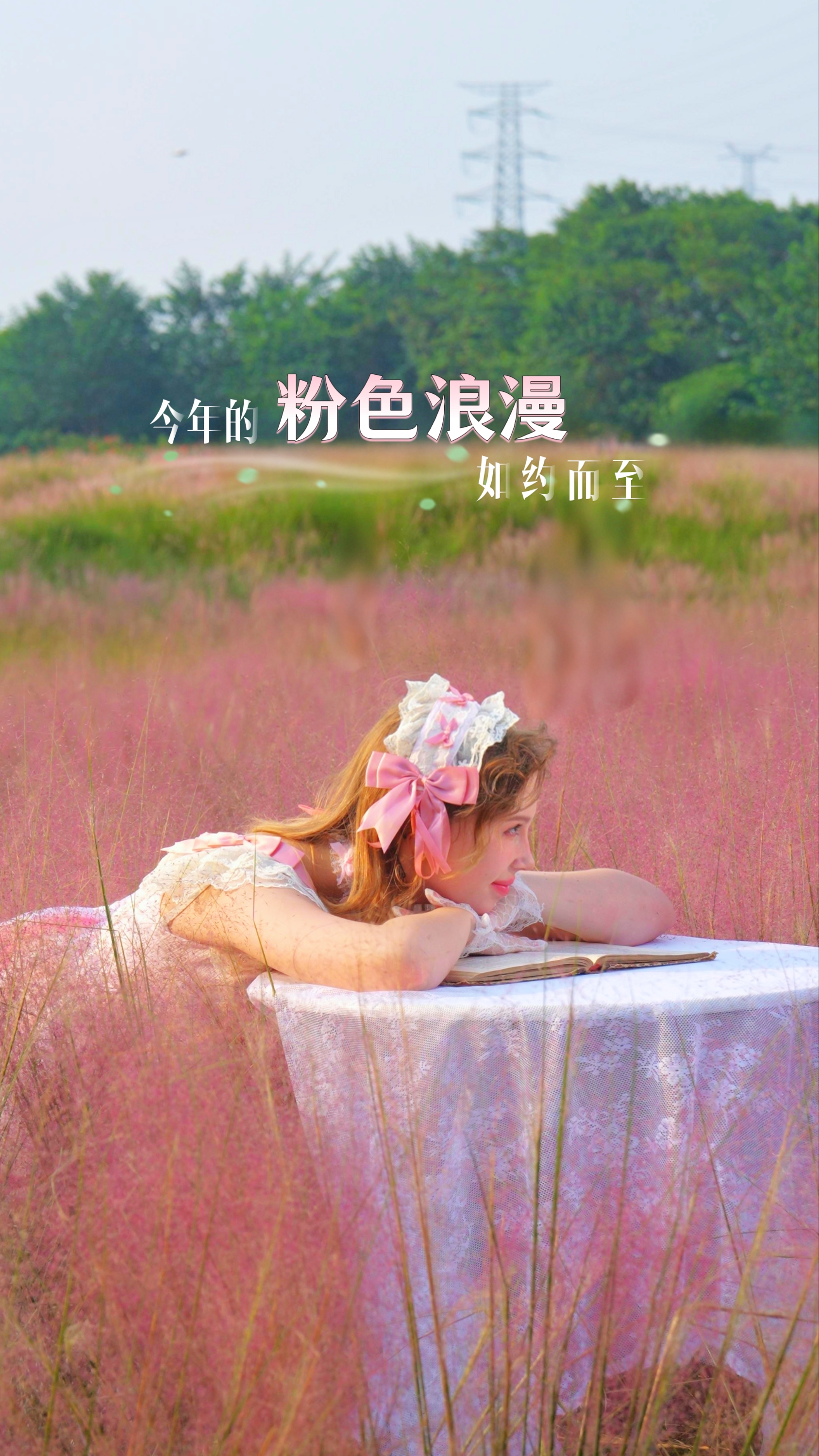 今年的粉色浪漫，如约而至