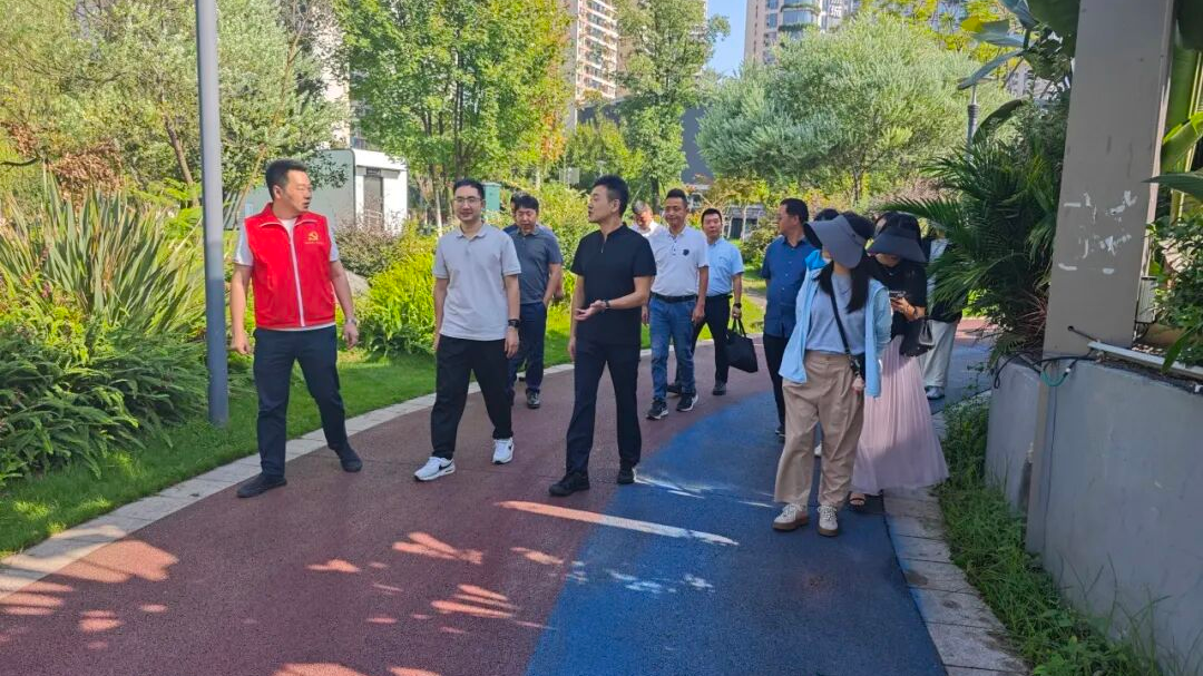 跨区域协同治水  多方共绘“水润城兴、人水和谐”锦绣画卷