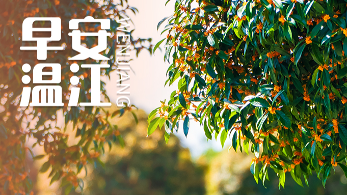 早安温江丨重磅文件发布，事关1670多万学生群体→