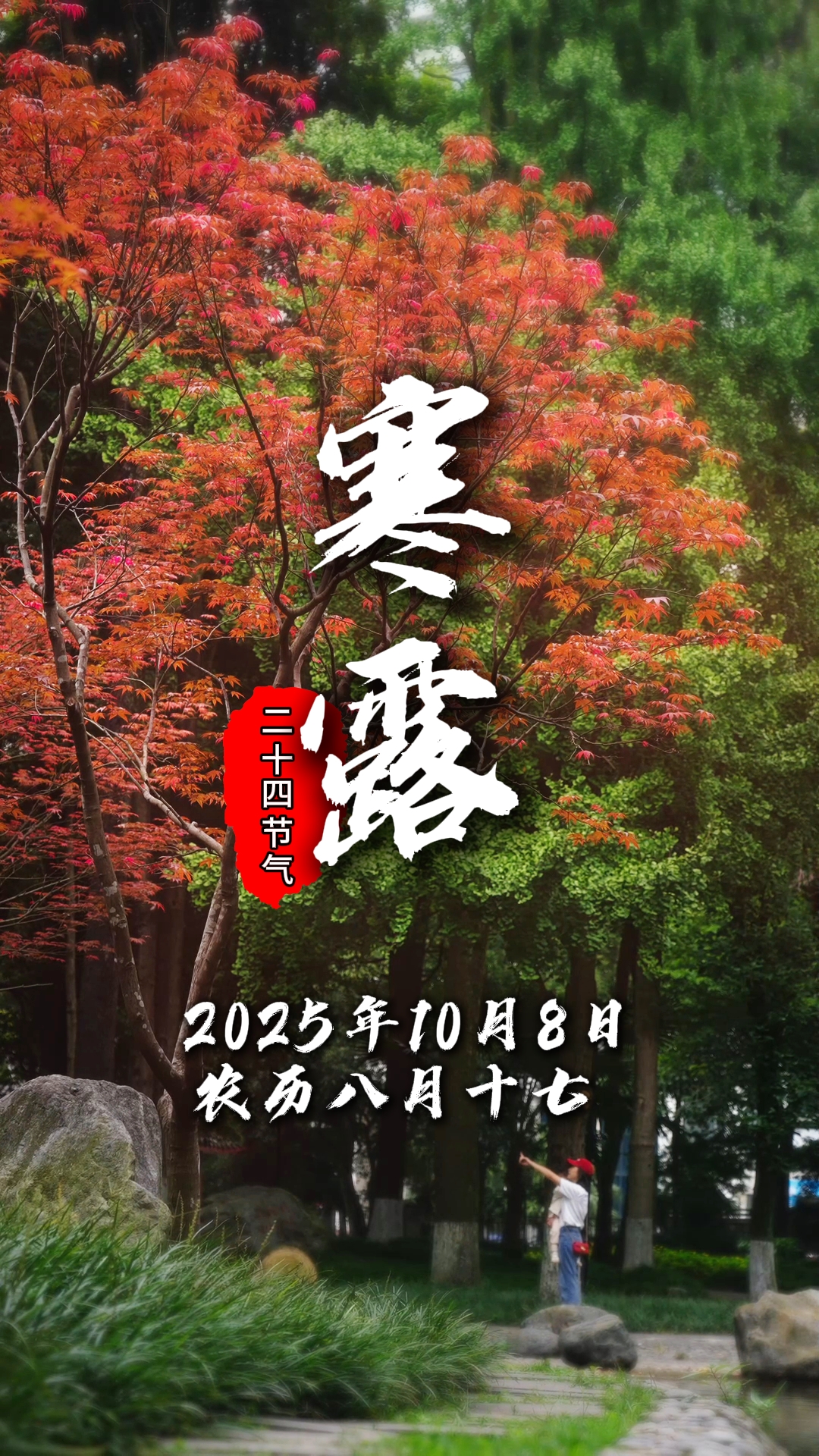今日寒露#二十四节气#温江四季#这里是温江