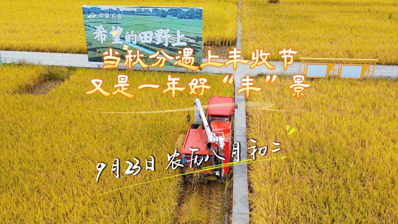 当秋分遇上丰收节