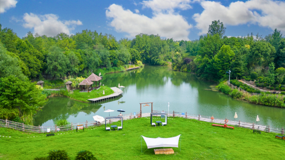 图说温江丨碧水摇曳 清风徐来