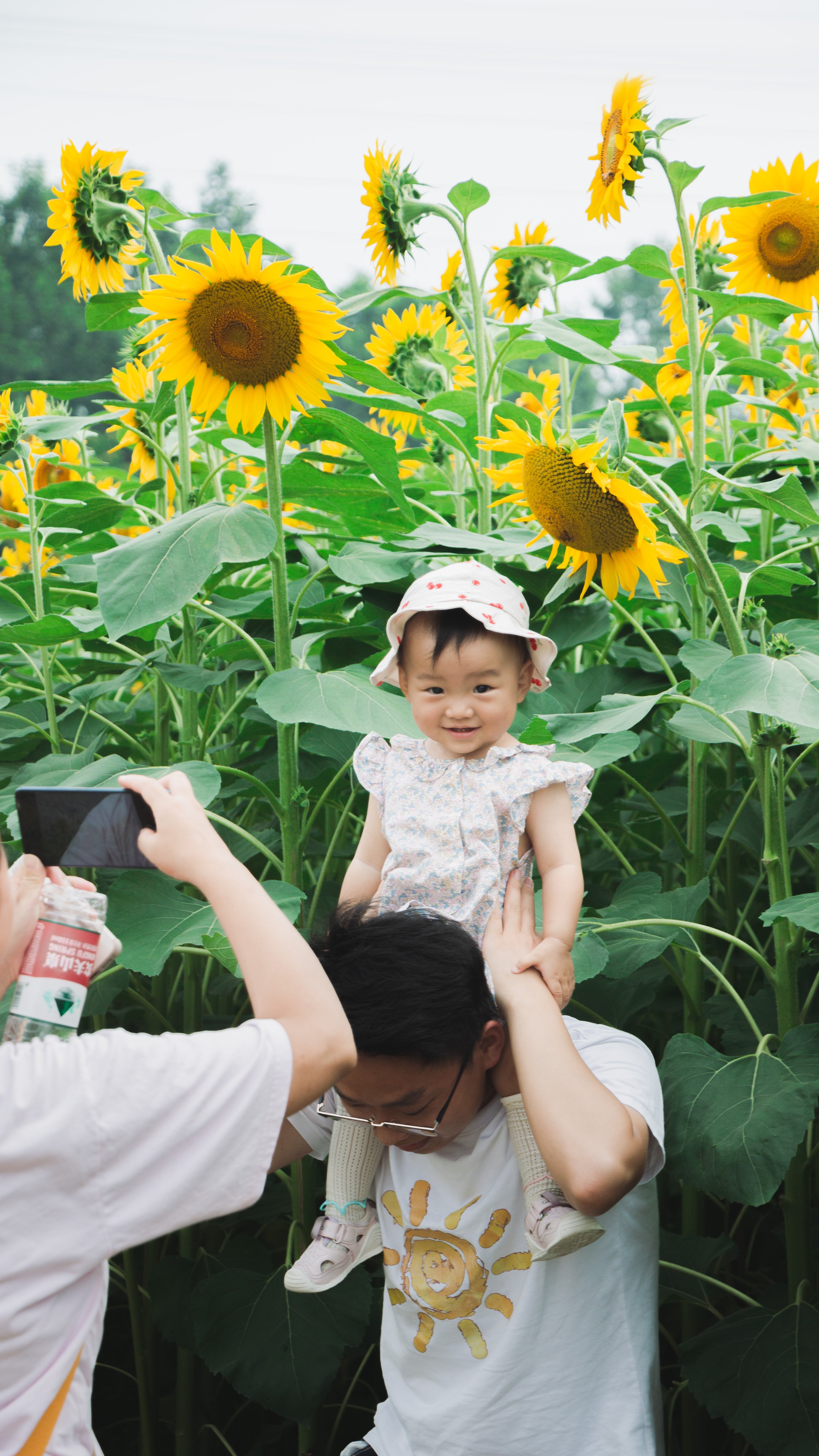 IMG_9730.jpg IMG_9730.jpg