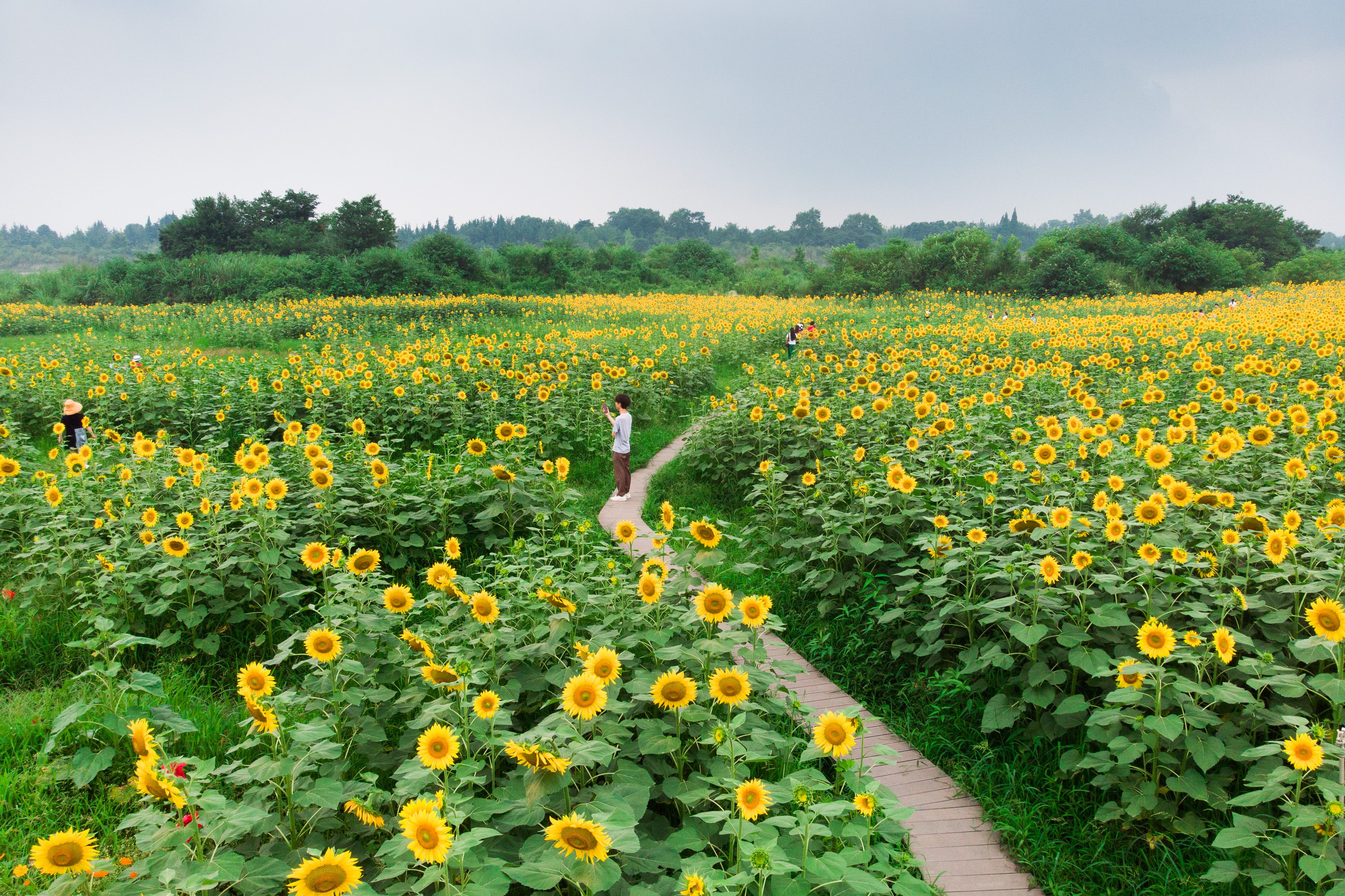 DJI_0700.jpg DJI_0700.jpg