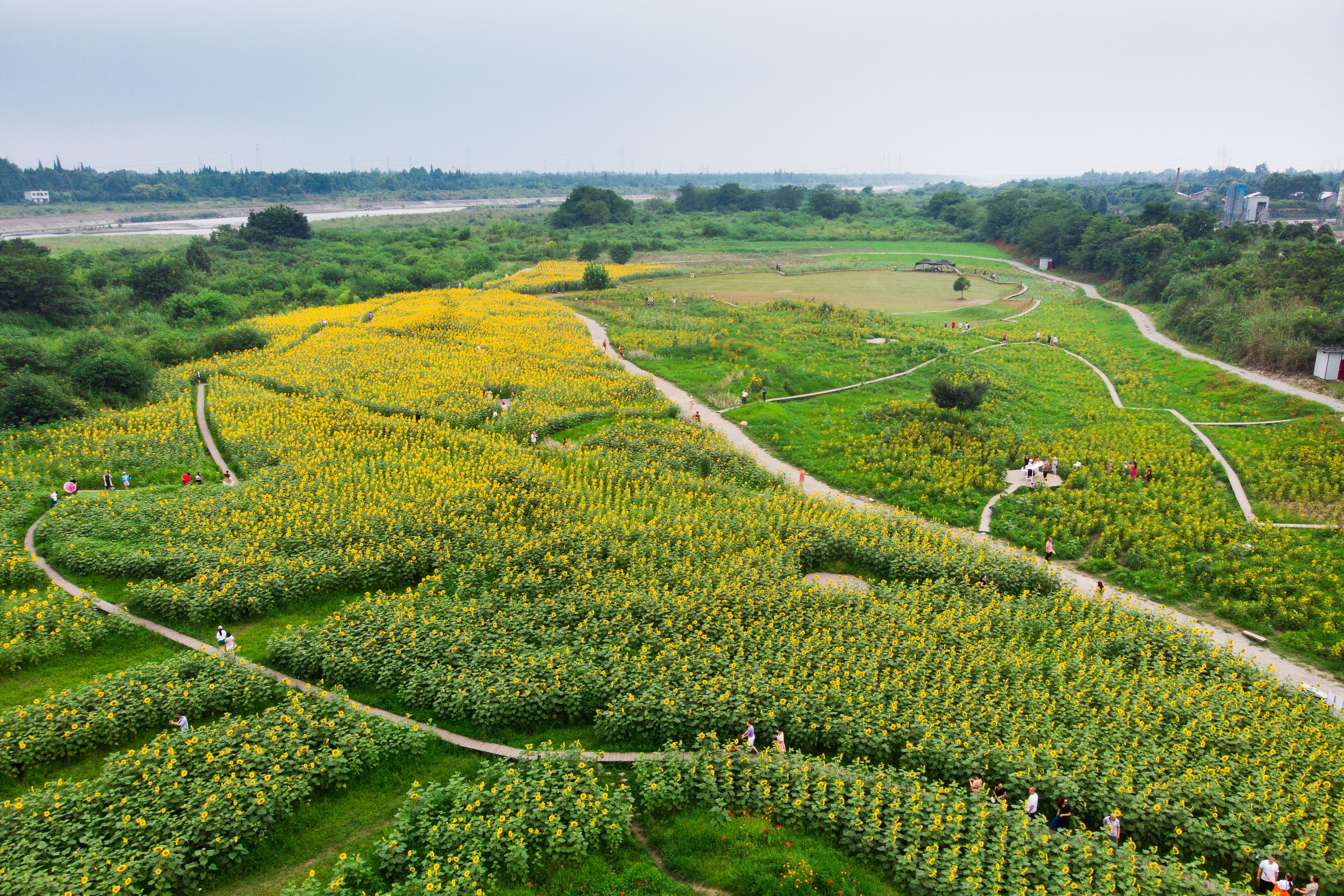 DJI_0689.jpg DJI_0689.jpg