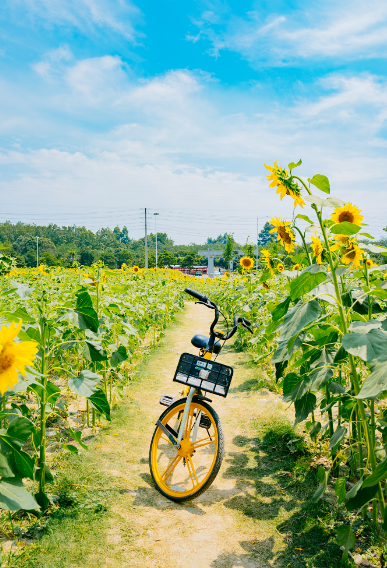 c2e8f38f-9e52-40ac-a5ec-7d2f77393114.png c2e8f38f-9e52-40ac-a5ec-7d2f77393114.png