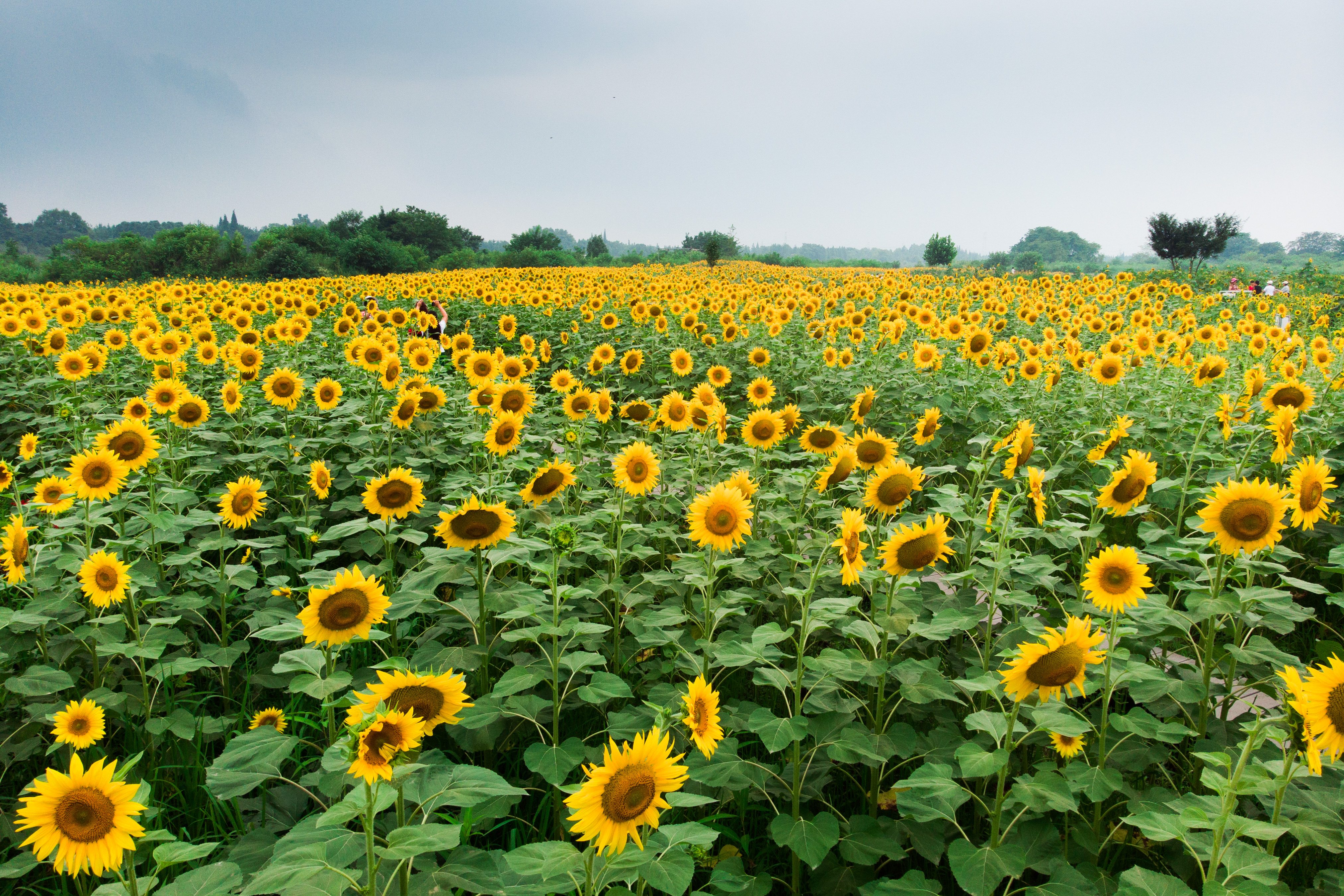 DJI_0697.jpg DJI_0697.jpg