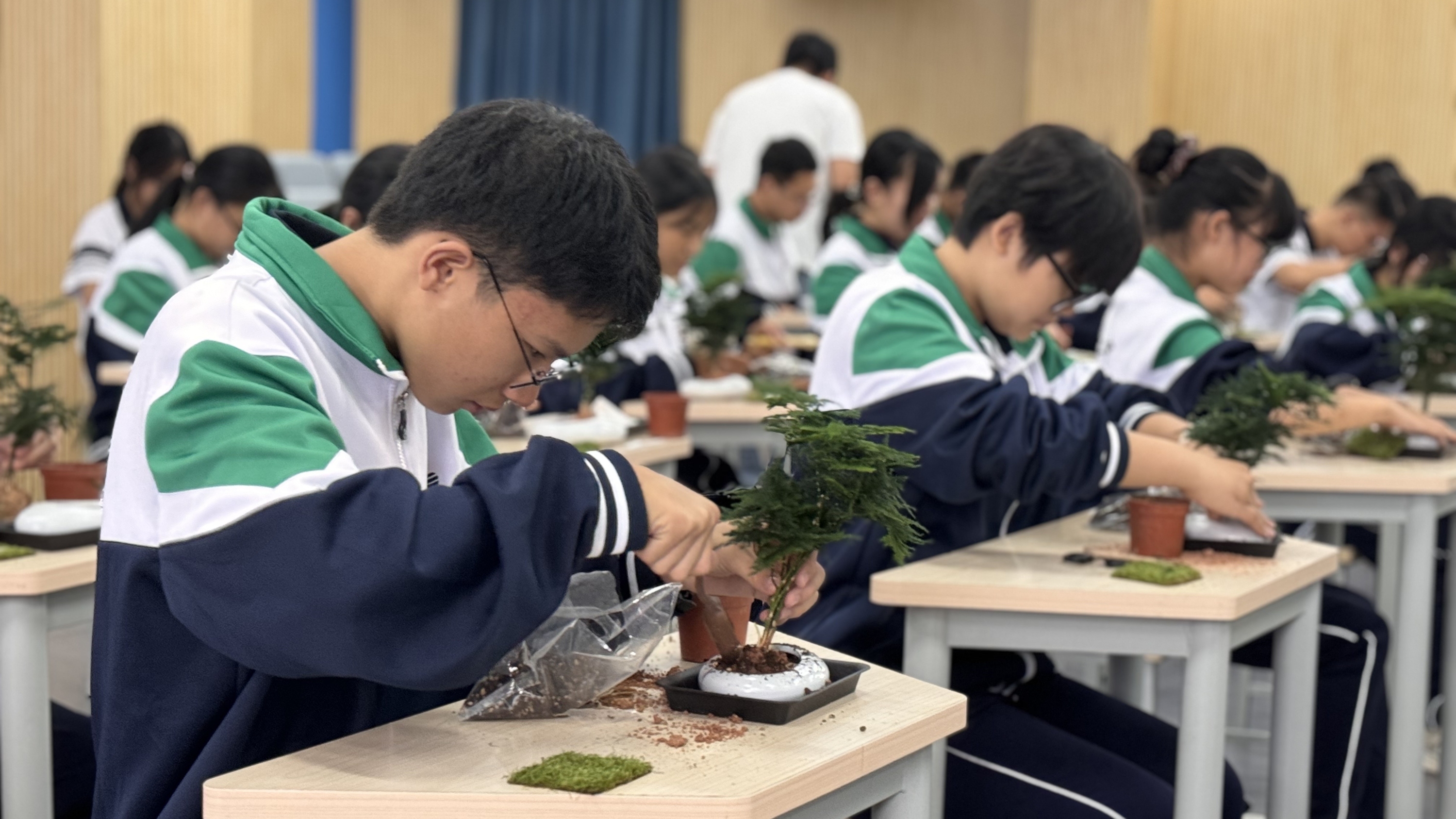 川派盆景进校园，温江“非遗课堂”趣味开课