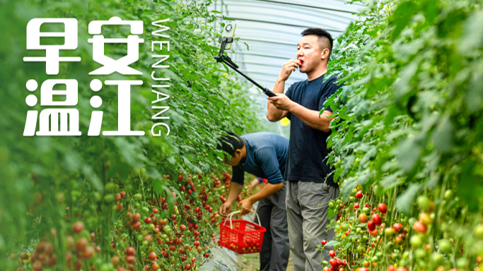 早安温江丨车船税减免新政发布！明年起实施