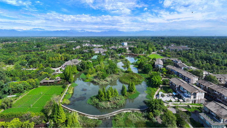 VR云游大美温江 | 夏日幸福田园