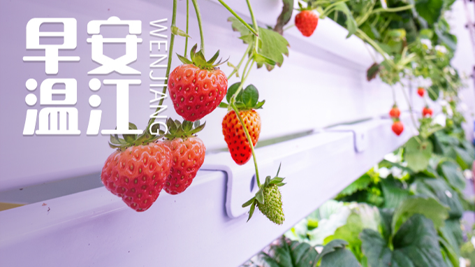 早安温江 | 成都公积金新政发布！