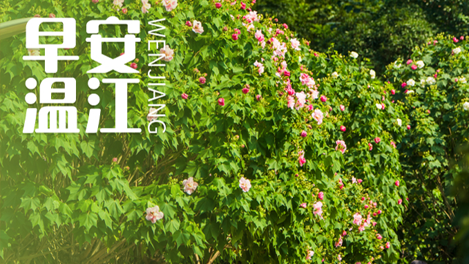 早安温江 | 正在报名！2025年温江区“融乡行”墙体彩绘活动→