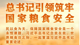 总书记引领筑牢国家粮食安全