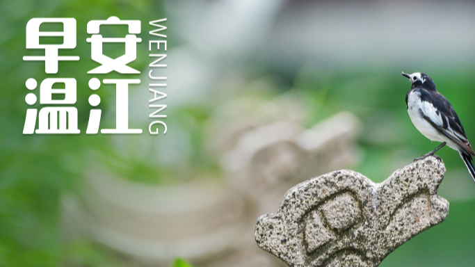 早安温江丨今起，买火车票有好消息！