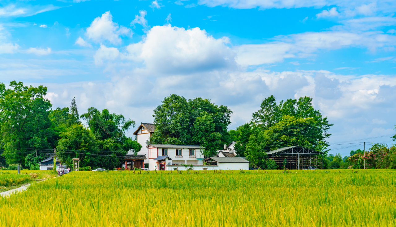 911d3eaa6676989423f0cd7484f6ab87.png 911d3eaa6676989423f0cd7484f6ab87.png