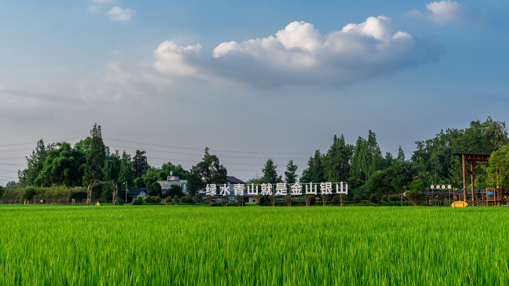 荣登榜首！温江区“水稻+”项目成为全省农业重大技术协同推广典范