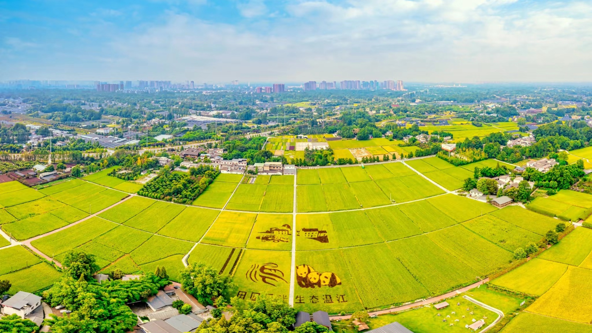 王军带队开展“进解优促”工作并督导项目建设