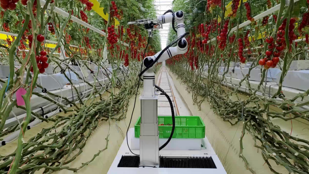 AI赋能农业！温江企业这样建设“智能无人农场”→