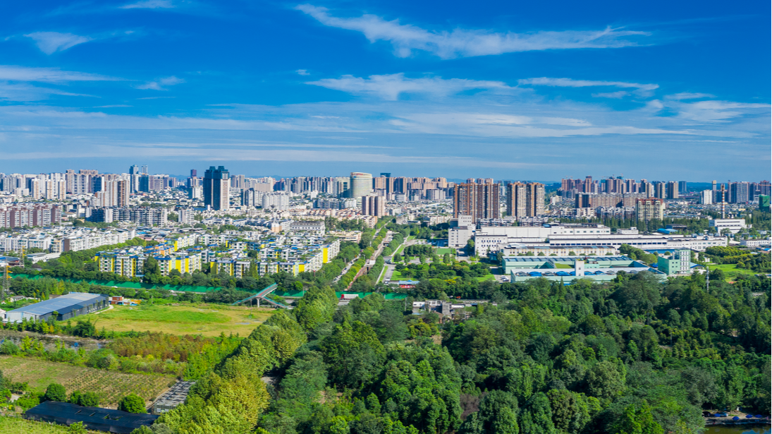 区第十九届人民政府第88次常务会议召开
