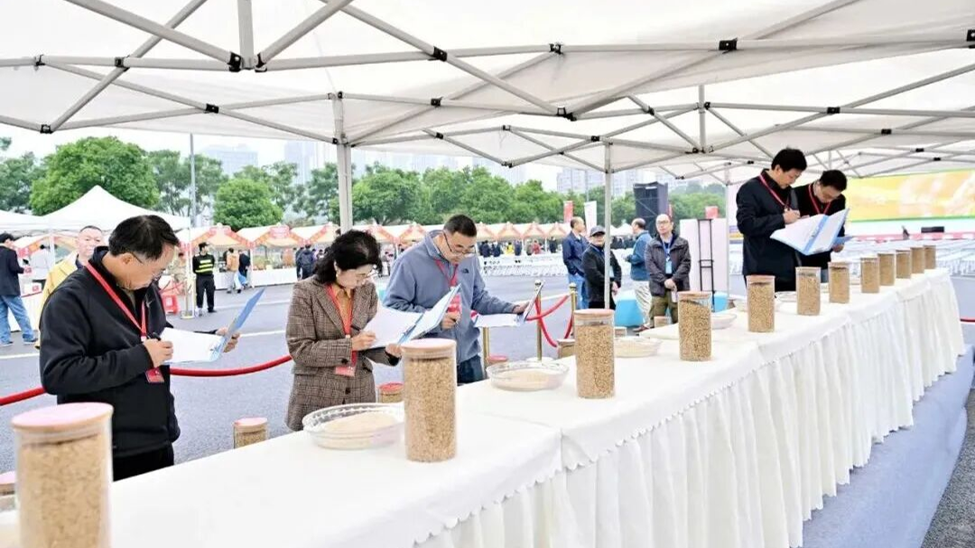 ​品优质稻米、逛农优集市！成都市第十二届“鱼凫杯”优质稻米品鉴活动在温江举行