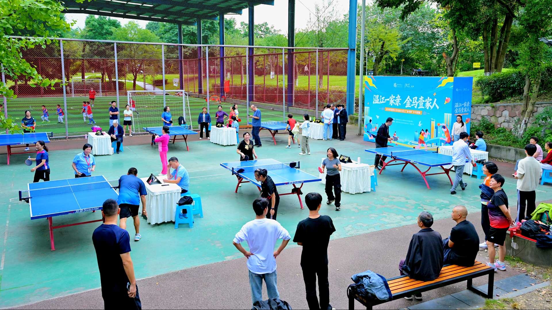 金马街道“金邻杯”邻里乒乓球友谊赛圆满收官