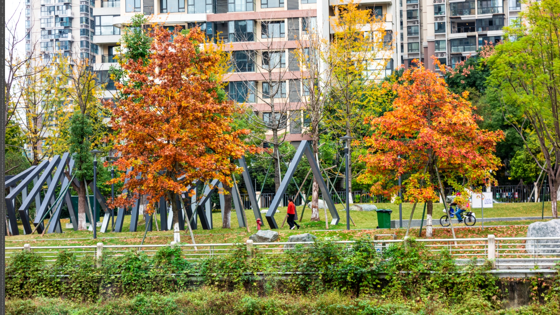 区第十九届人大常委会党组第六十七次（扩大）会议暨第五十二次主任会议召开