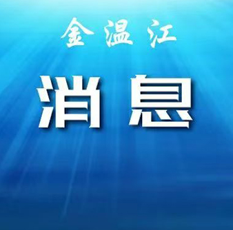 当川派盆景遇上现代创意，你最钟情哪一款？