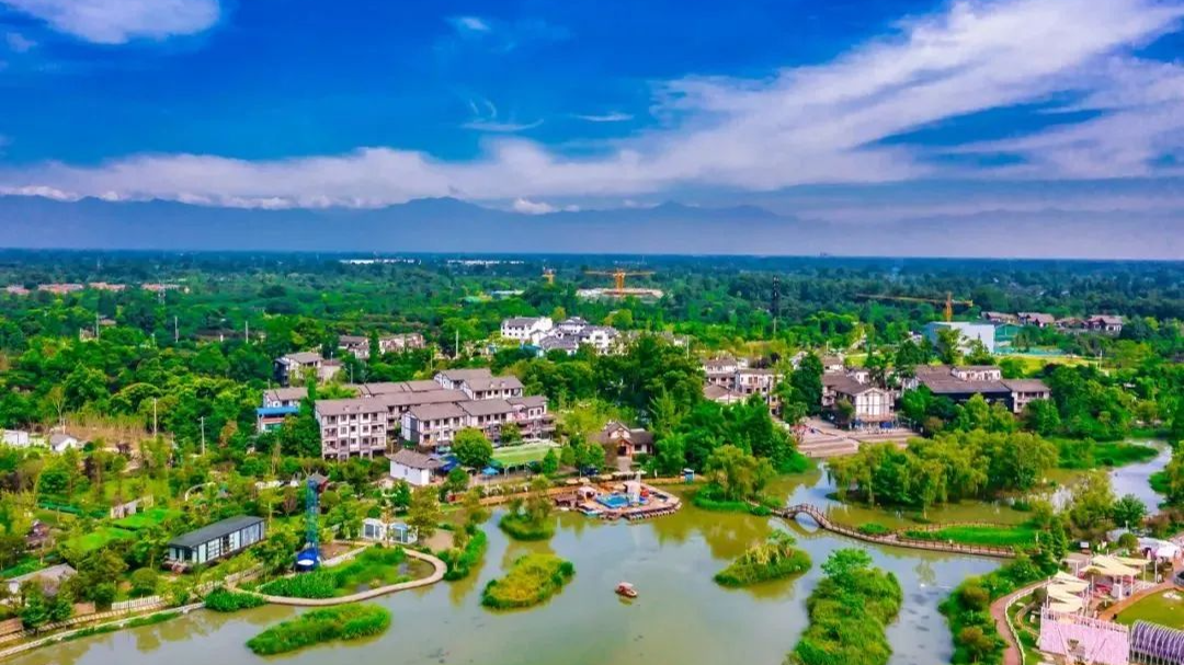 区政协召开党组（扩大）会议传达学习党的二十届四中全会精神