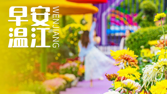 早安温江丨考驾照有新变化！