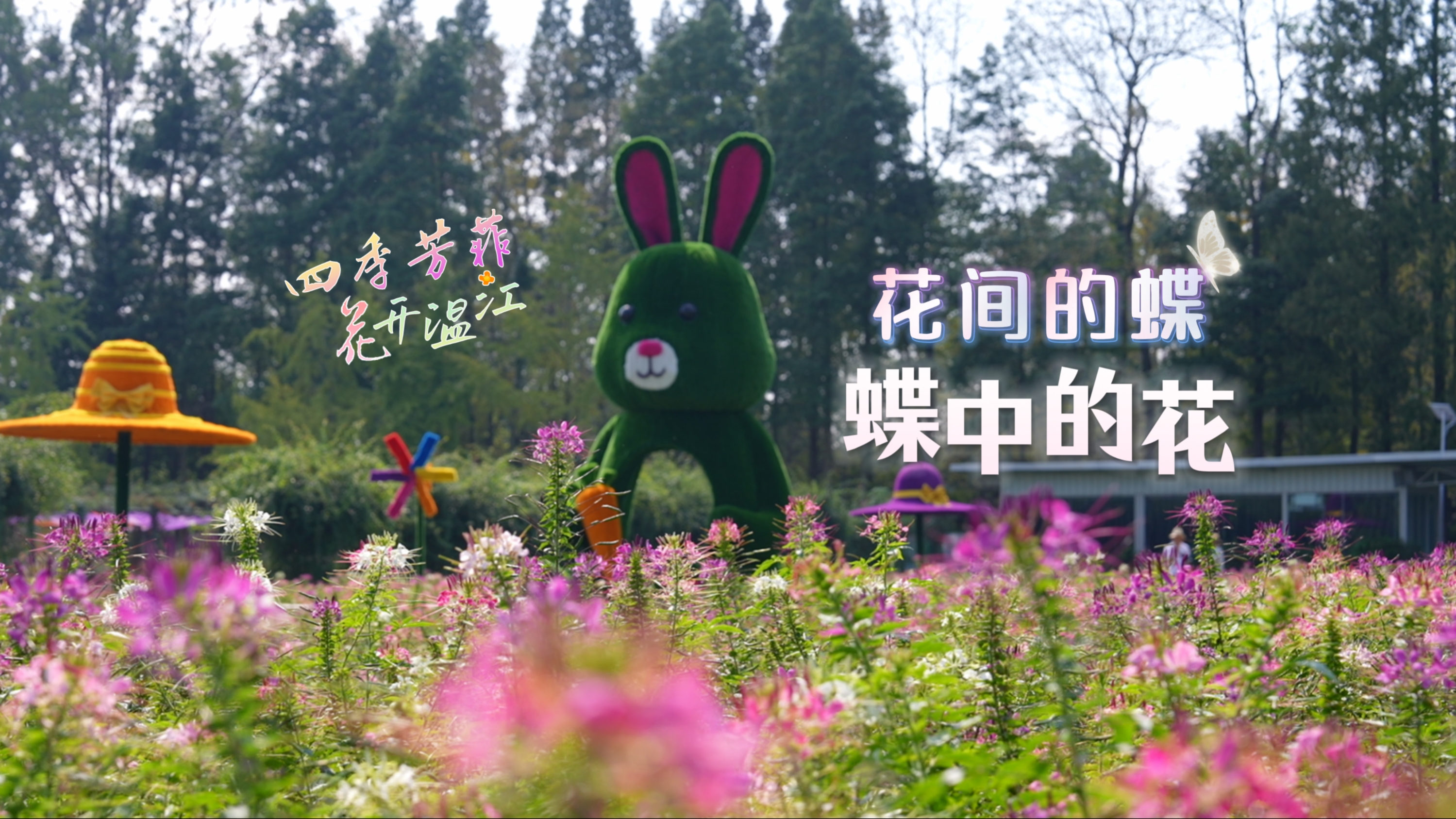 花间的蝶，蝶中的花