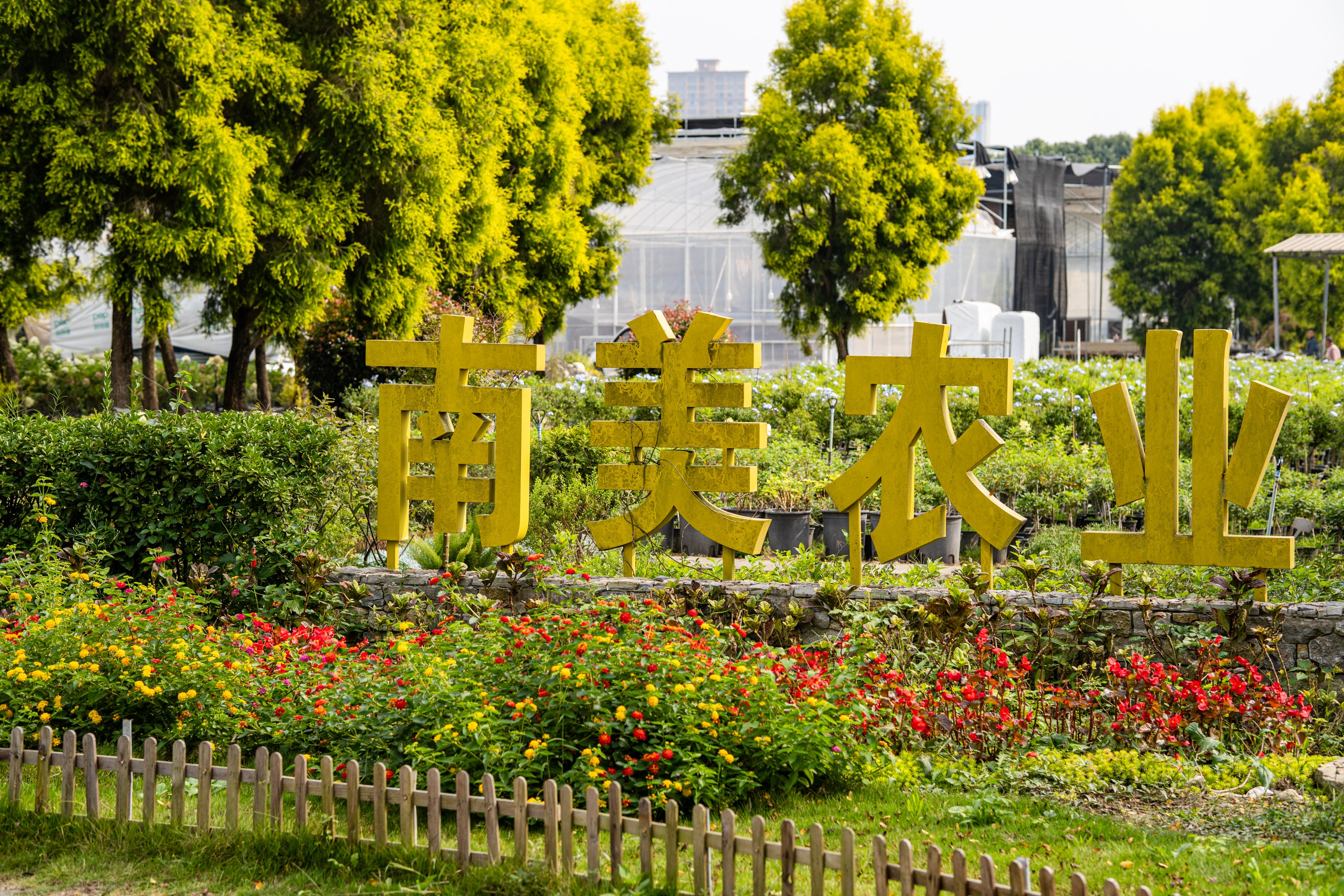 区人大常委会专题调研和盛镇文商旅体养融合发展情况