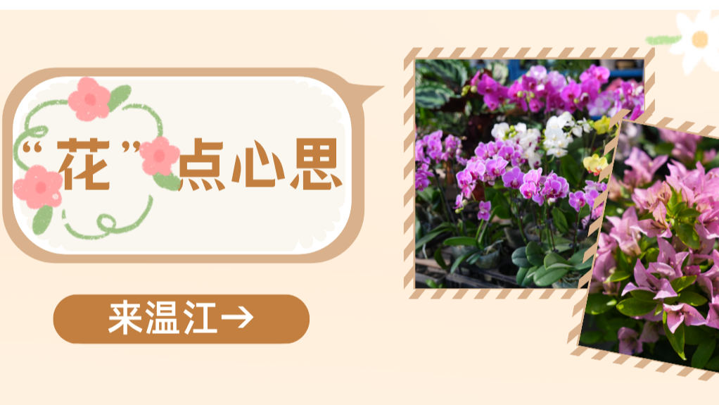 来温江~“花”点心思→