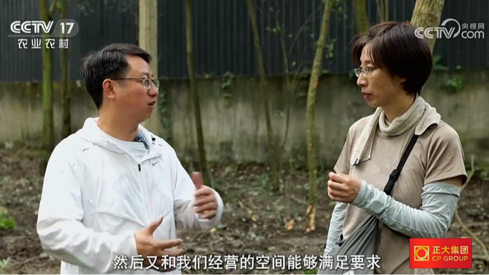 央视关注！“乡建合伙人”在温江点“绿”成“金”