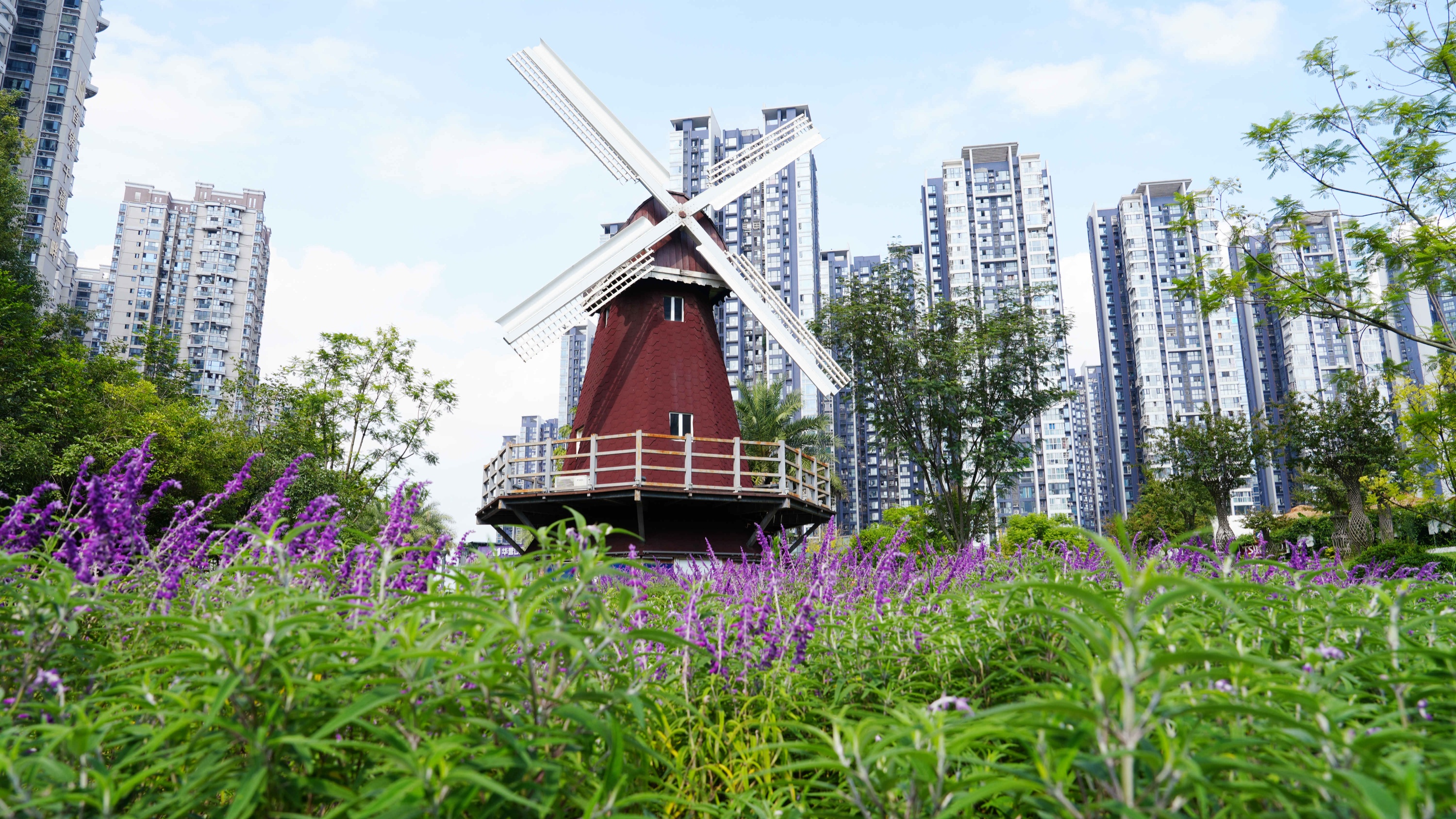 喜报！温江“亲邻基金”项目入选第四届（2024-2025）中国城市治理创新优秀案例奖